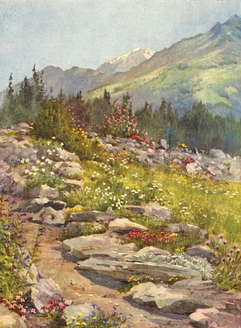 Alpine garden (La Linnea) at Bourg, St Pierre, in August painted by George Flemwell