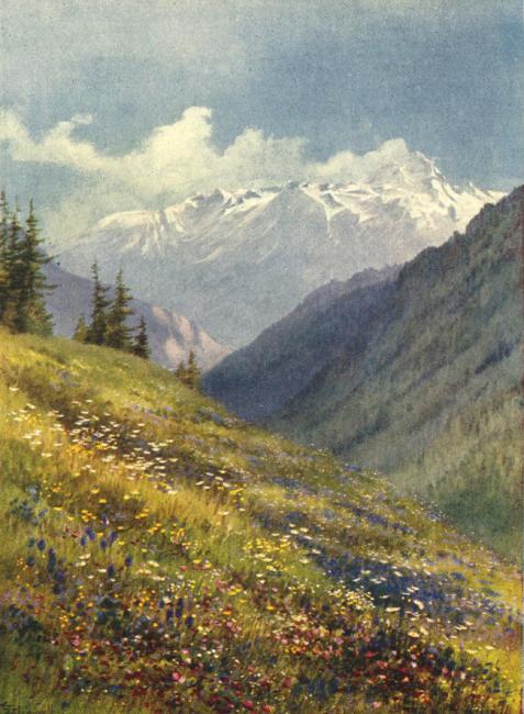 Hay-fields at the Col de la Forclaz in July, with the mountains of the Valley of Bagnes, painted by George Flemwell