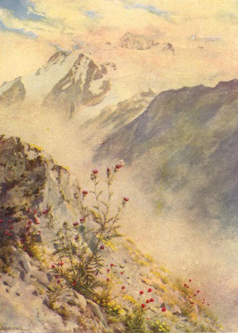 Thistles, Anthyllis, and the Apollo butterfly, with the Aiguille du Tour, September, painted by George Flemwell