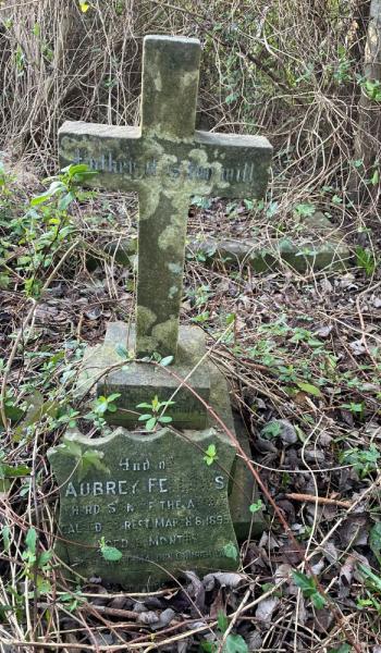Image of headstone for Aubrey Fellowes