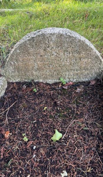 Image of headstone for Charles Harris