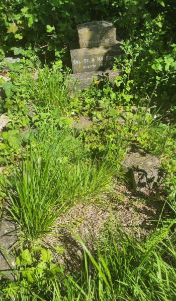 Image of the headstone for St. Aubyn Molesworth