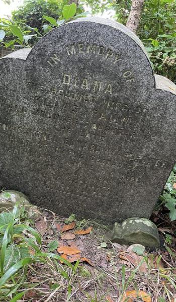 Diana Pauw's gravestone