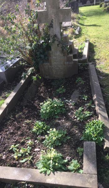Emma Green (buried 1907) headstone