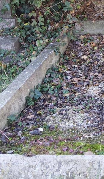 Image of headstone for George Williams