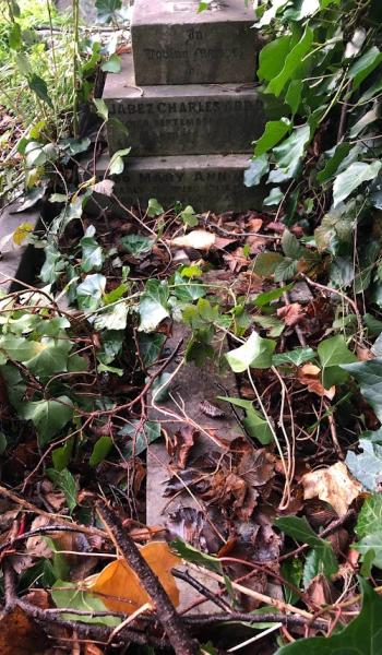 Image of headstone for Jabez Abbott