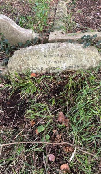 Image of headstone for Janie Smith