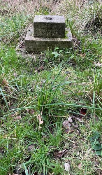 Image of the headstone for Mary Agnew