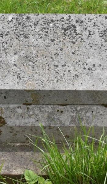 Image of the headstone for Francis Henry Rich