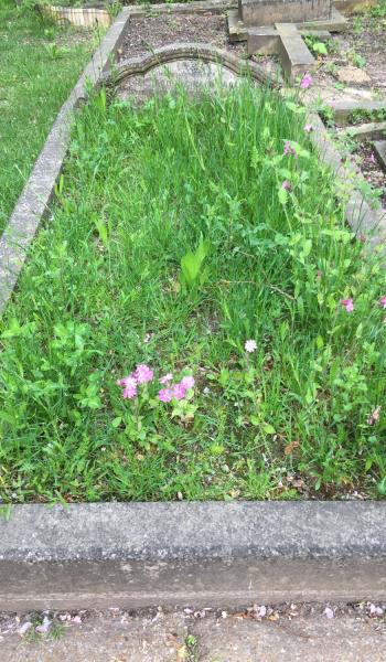 Image of headstone for Richard Reginald Carew
