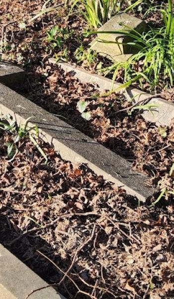 Image of the headstone for Rose Dalton Smith