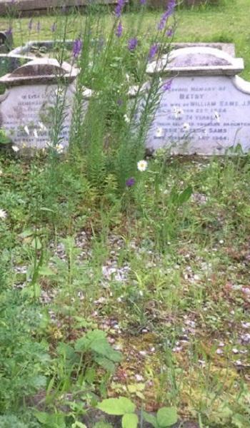 Betsy Sams (buried 1924) headstone