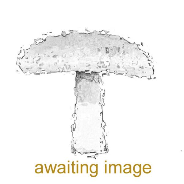 This parasitic species is a mycotroph of boletes and infects the host on the pore surface and soon spreads to completely engulf it.