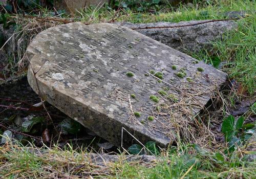 This moss had colonised a sloping headstone (as opposed to a vertical or flat one).